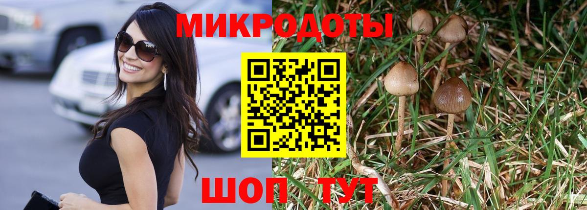 Псилоцибиновые грибы Cubensis  Вход с VPN  Белово 